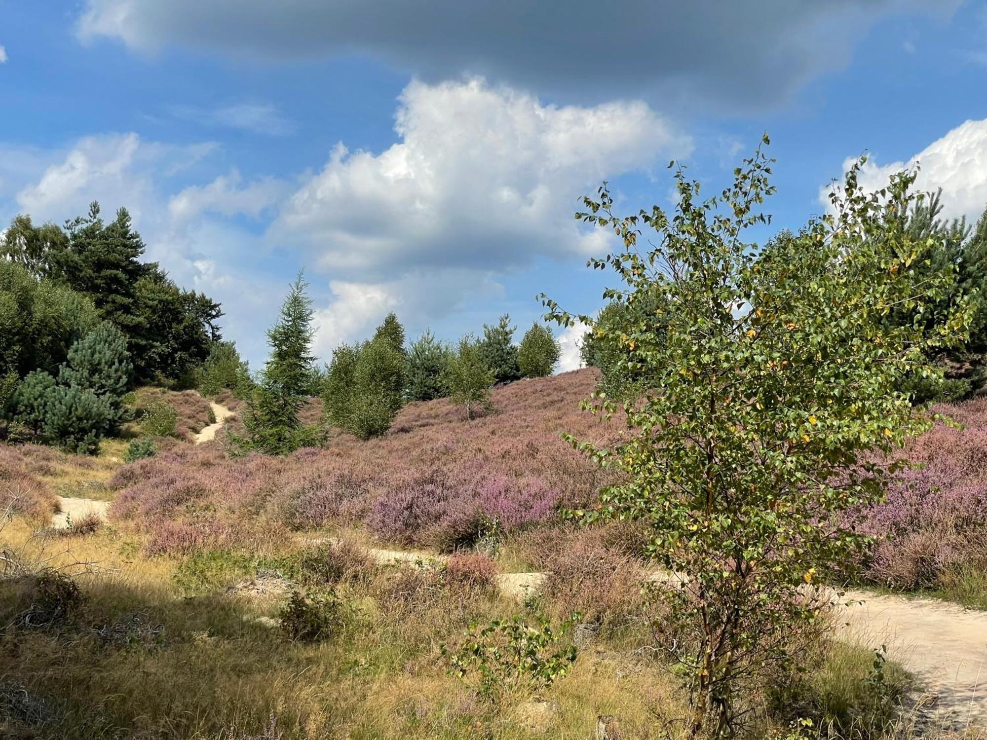Bed and Breakfast De 4 Seizoenen Loenen Exteriér fotografie